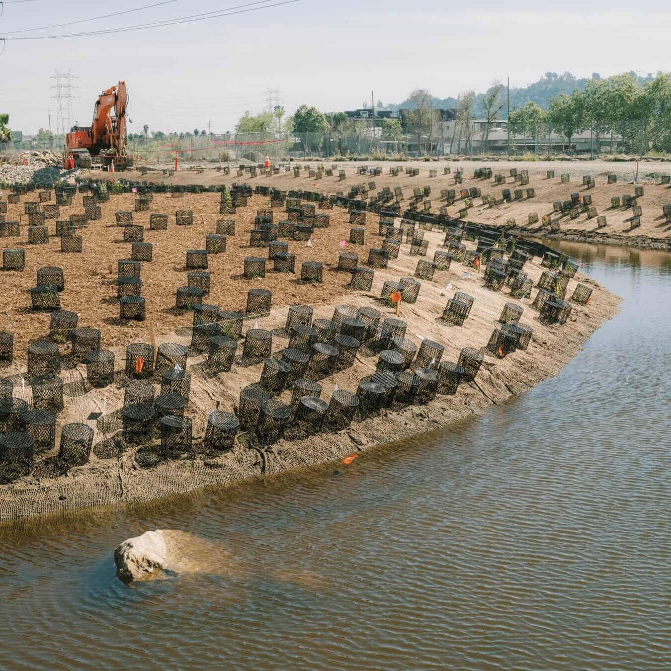 Bowtie Wetlands Landscape